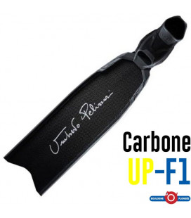 UP-F1 Carbone