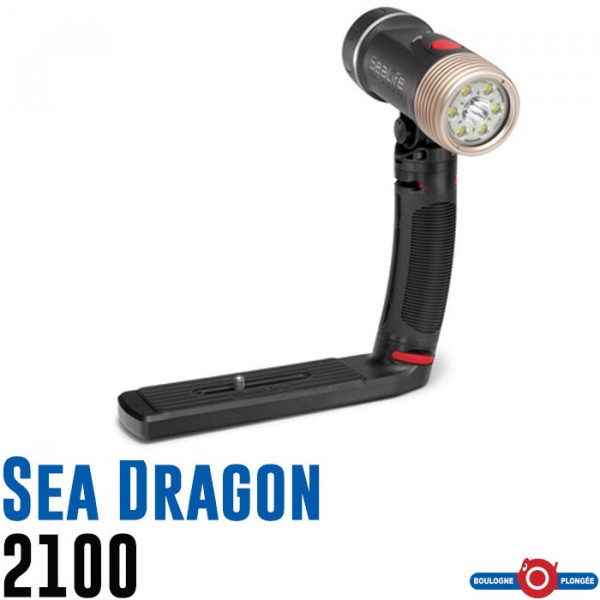 Sea Dragon 2100 Sealife